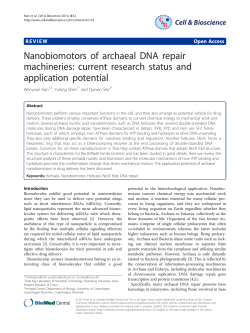 Nanobiomotors of archaeal DNA repair machineries