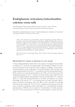 Endoplasmic reticulum/mitochondria calcium cross-talk