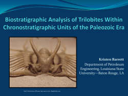 Biostratigraphic Analysis of Trilobites Within Chronostratigraphic