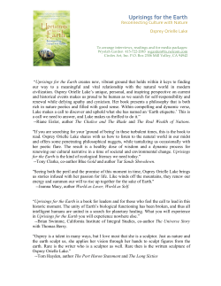 Uprisings for the Earth