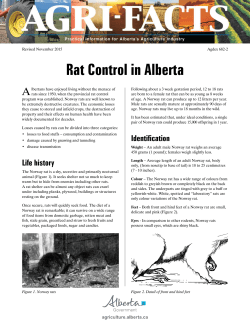 Rat Control in Alberta (Agdex 682-2)