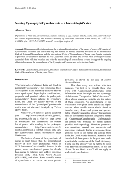 Naming Cyanophyta/Cyanobacteria - a bacteriologist`s view.