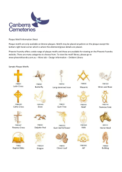 Plaque Motif Information Sheet Plaque motifs are only available on