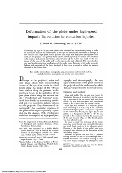 Deformation of the Globe under High-Speed Impact: Its
