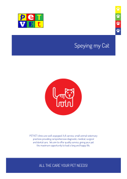Speying my Cat - PETVET Silverstream