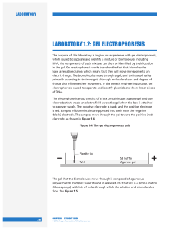 Amgen Student Guide_Full
