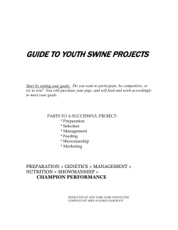 guide to youth swine projects