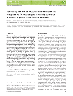 Assessing the role of root plasma membrane and tonoplast Na+/H+