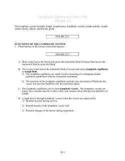 22-1 The lymphatic system includes lymph, lymphocytes, lymphatic