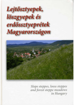 Slope steppes