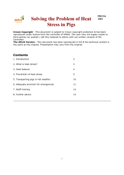 Solving the Problem of Heat Stress in Pigs