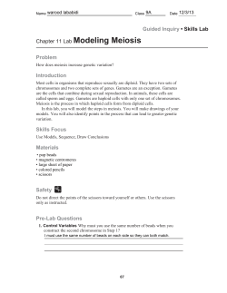 Chapter 11 Lab Modeling Meiosis