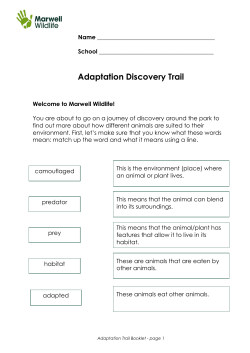 Adaptation Discovery Trail