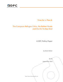 DPC Policy Paper by Bodo Weber - Heinrich-B&ouml;ll
