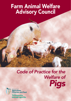 Code of Practice for the Welfare of Pigs