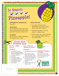 Pineapple! - Produce For Better Health Foundation