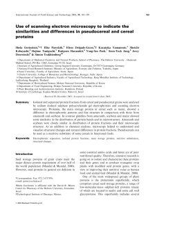 Use of scanning electron microscopy to indicate the similarities and