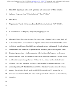 Title: ROS signaling in cotton ovule epidermal cells is
