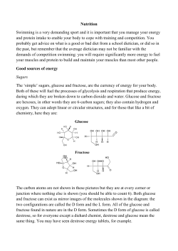 Nutrition - The Demands of Competitive Swimming