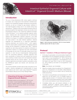 TB28223-Intestinal Epithelial Organoid Culture with