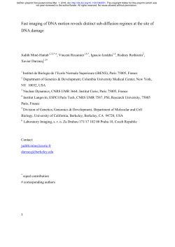 Fast imaging of DNA motion reveals distinct sub-diffusion