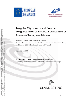 Irregular Migration in and from the Neighbourhood of the EU