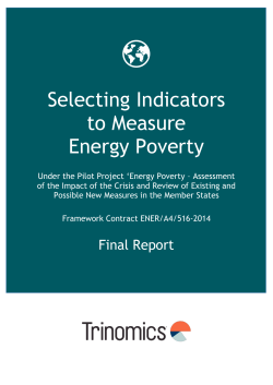 Selecting Indicators to Measure Energy Poverty
