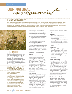 GV Newsletter New Layout