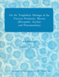 On the Troglobitic Shrimps of the Yucatan Peninsula, Mexico