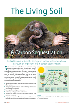 Carbon Sequestration
