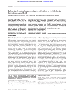 Failure of red blood cell maturation in mice with