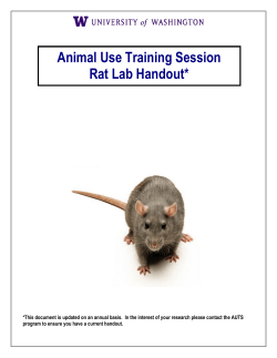 Animal Use Training Sessions Rat Lab Handout