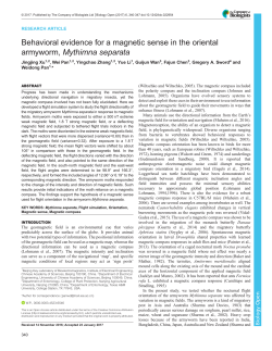 Behavioral evidence for a magnetic sense in the oriental armyworm