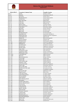 Bird species list - Sabi Sand Wildtuin