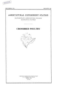 SB252 1930 Crossbred Poultry - K