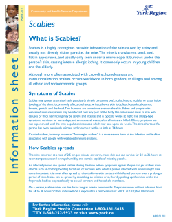 Scabies - York Region