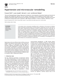 Hypertension and microvascular remodelling