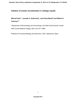 Meiotic recombinationv3