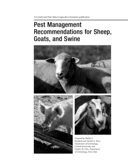 Pest Management Recommendations for Sheep, Goats, and Swine
