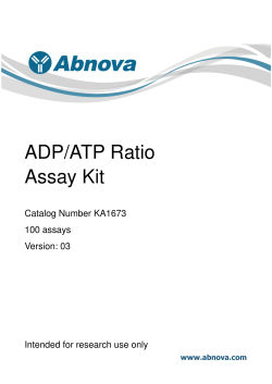 ADP/ATP Ratio Assay Kit