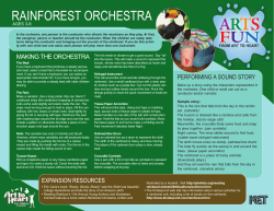 rainforest orchestra