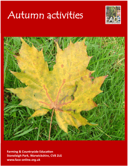 Autumn activities - Countryside Classroom