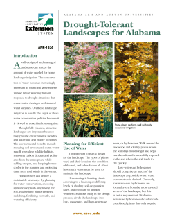 Drought-Tolerant Landscapes for Alabama