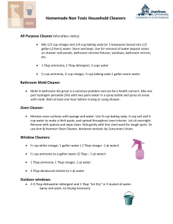 Homemade Non Toxic Household Cleaners