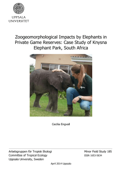 Zoogeomorphological Impacts by Elephants in Private Game