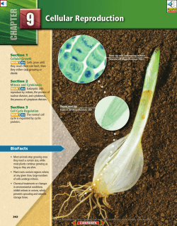 Chapter 9: Cellular Reproduction - Bellbrook