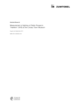 Measurement of lighting of Pablo Picasso`s &ldquo;Harlekin&rdquo; (1916) at the