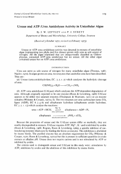 Urease and ATP : Urea Amidolyase Activity in
