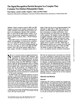 The Signal Recognition Particle Receptor Is a Complex