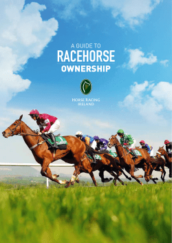Horse Racing - Irish Thoroughbred Marketing
